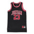 Camiseta Nike Jordânia 23 Menino
