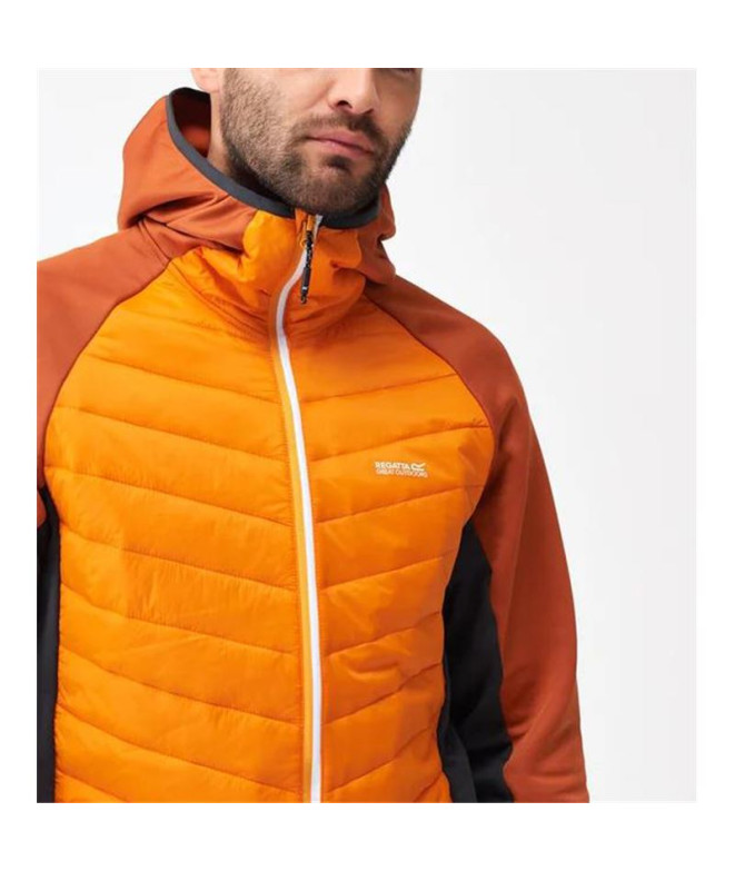 Veste Montagne Regatta de Andreson VIII Hybrid...