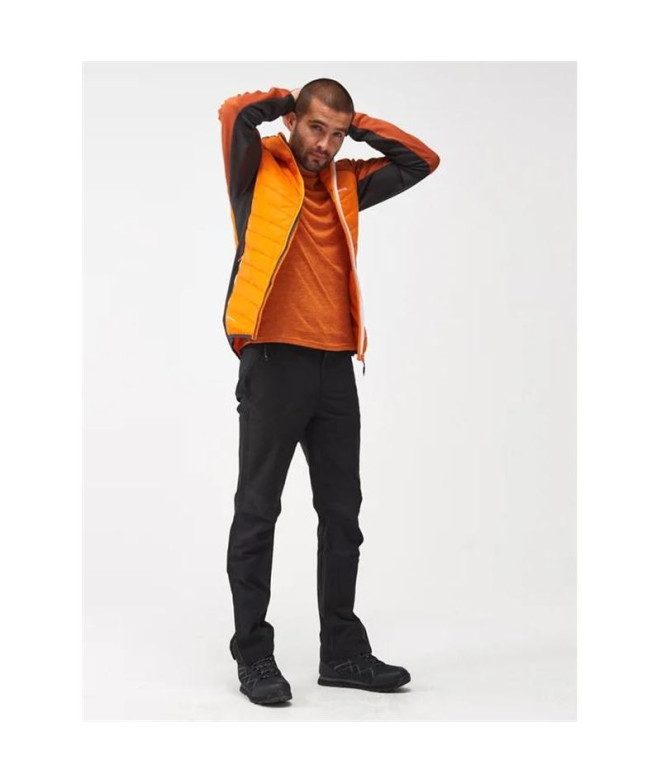 Veste Montagne Regatta de Andreson VIII Hybrid...