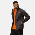 Chaqueta de Montaña Regatta Clumber IV Hybrid Ash(OranPep) Hombre