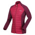 Casaco de montanha Regatta Clumber Hybrid IV RumbaRd/Burg para mulher