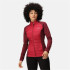 Casaco de montanha Regatta Clumber Hybrid IV RumbaRd/Burg para mulher