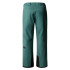 Calça de Esqui y snow The North Face Verde Chakal Homem