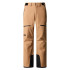 Calça de Esqui y snow The North Face Chakal Bege Homem