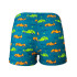 Maillot de bain Natation Ras de Beep Petrol Homme