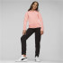 Chándal de Puma Hooded Sweat Fl Infantil