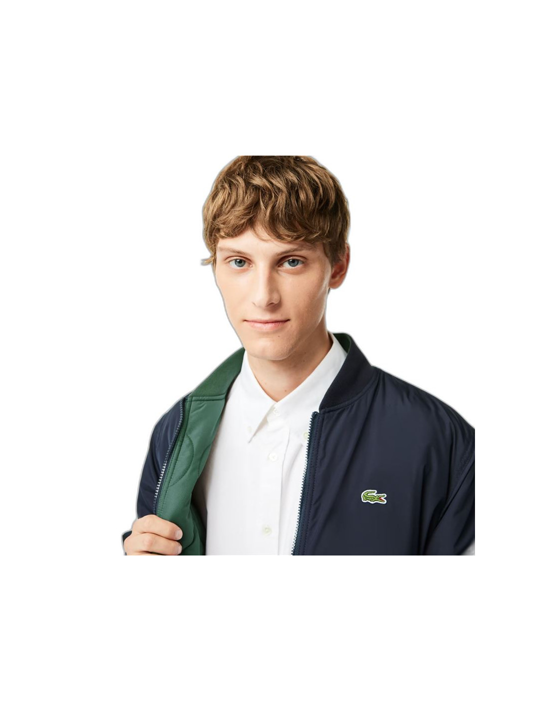 Veste Lacoste Blouson Hommes Vert fonc