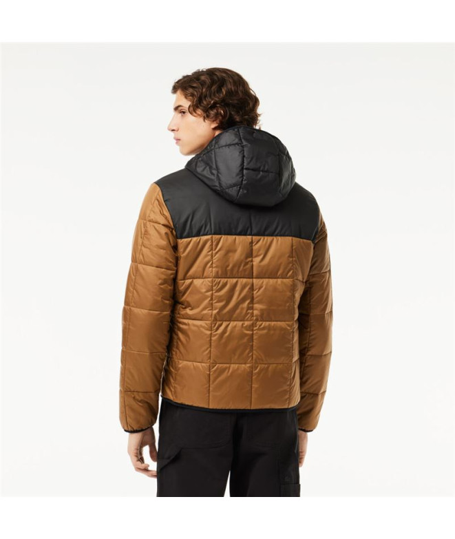 Chaqueta Lacoste Blouson Hombre Marrón