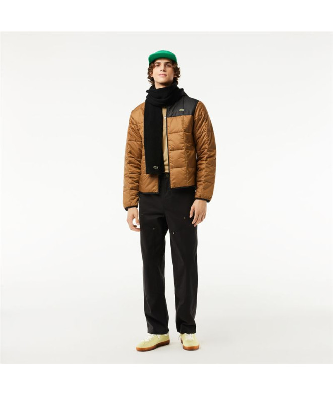 Veste Lacoste Homme Blouson Marron