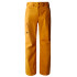 Pantalones de Esquí y snow The North Face Freedom Yellow Hombre