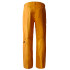 Pantalones de Esquí y snow The North Face Freedom Yellow Hombre