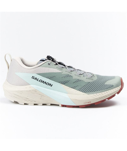 Sapatilhas de Trail Salomon Sense Ride 5 Verde/Cinza/Azul...