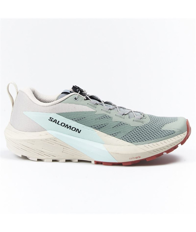 Sapatilhas de Trail Salomon Sense Ride 5 Verde/Cinza/Azul Homem