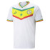 Camiseta de fútbol Senegal