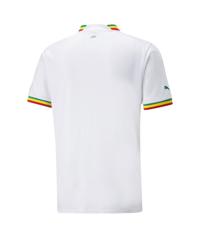 Camiseta de futebol Senegal