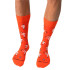 Calcetines Jimmy Lion Clockwork Orange - Patter Orange