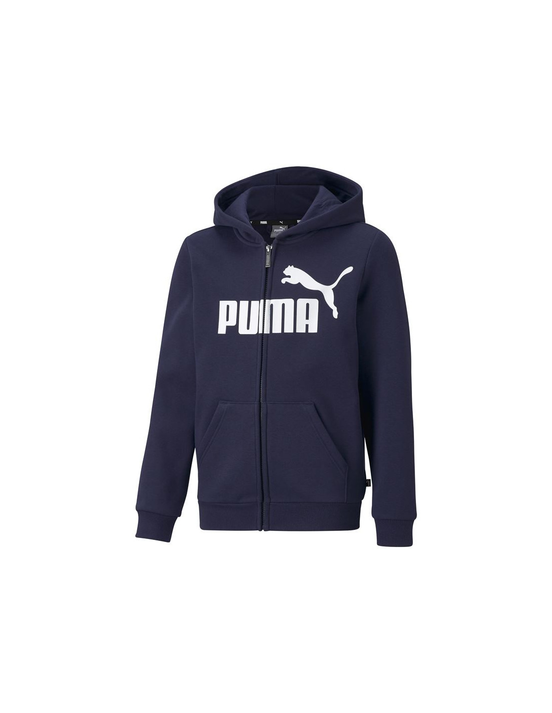 Puma menino 2024