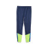 Pantalón Puma Individualcup Traini Hombre