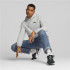 Moletom Puma Ess+ 2 Col Small Log Homem