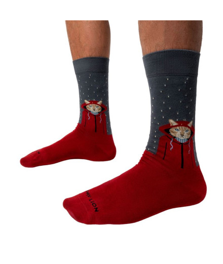 Calcetines Jimmy Lion Raining Cat Grey