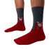 Calcetines Jimmy Lion Raining Cat Grey