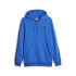 Moletom Puma Ess+ Ape Fl Homem