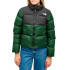 Chaqueta de Montaña The North Face Saikuru Green Mujer