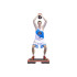 Step de Fitness Profissional Softee
