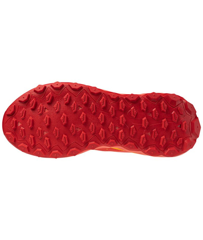 Chaussures de Trail Mizuno Wave Ibuki 4 Femme...