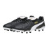 Futebol Top Homem Botas de Puma King Fg/Ag Preto