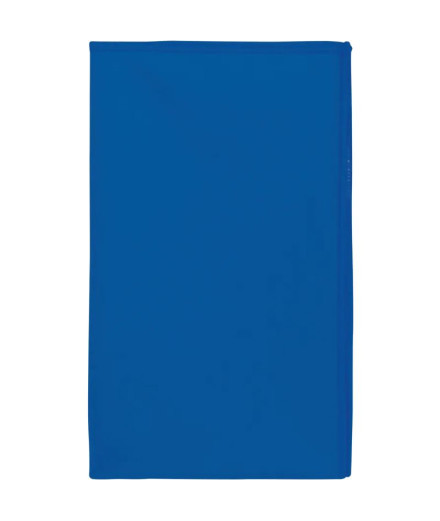 Toalha Secaneta 80X130 Microfibra Azulão