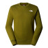 Moletom de Montanha The North Face Simple Dome Crew Homem Verde