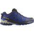 Chaussures de Trail Salomon XA Pro 3D V9 GoreTex Bleu Homme