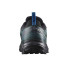 Sapatilhas de Trail Salomon Wander Gore Preto/Azul Homem