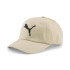 Casquette Homme Puma Essentials Logo Beige