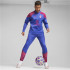 Camiseta por Futebol Puma Ac Milan Training 1/4 Zip Homem Azul