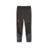 Calça Futebol Homem by Puma Ac Milan Training Cinzento