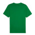 T-shirt Homme Puma Essentials+ 2 Couleur Vert
