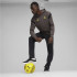 Moletom Futebol by Puma Borussia Dortmund Cinzento Homem