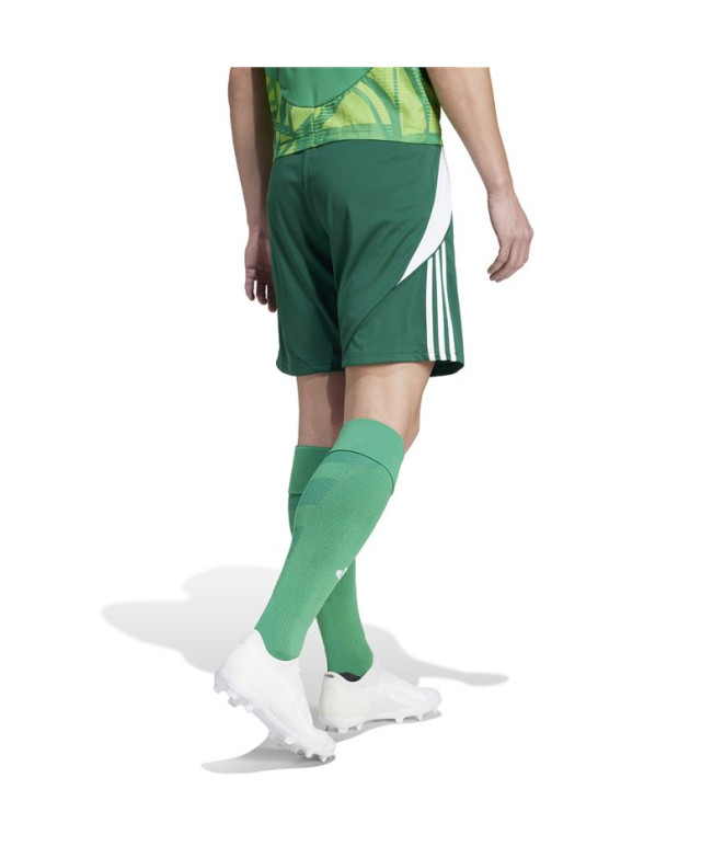 Pantalones de Fútbol adidas Tiro24 Hombre Verde