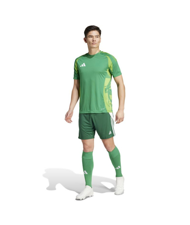 Pantalones de Fútbol adidas Tiro24 Hombre Verde