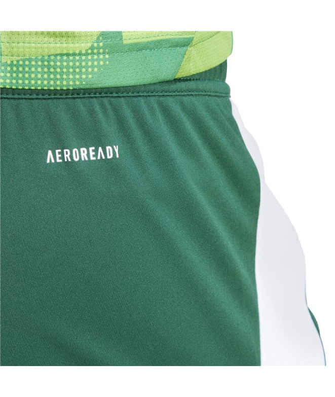Pantalones de Fútbol adidas Tiro24 Hombre Verde