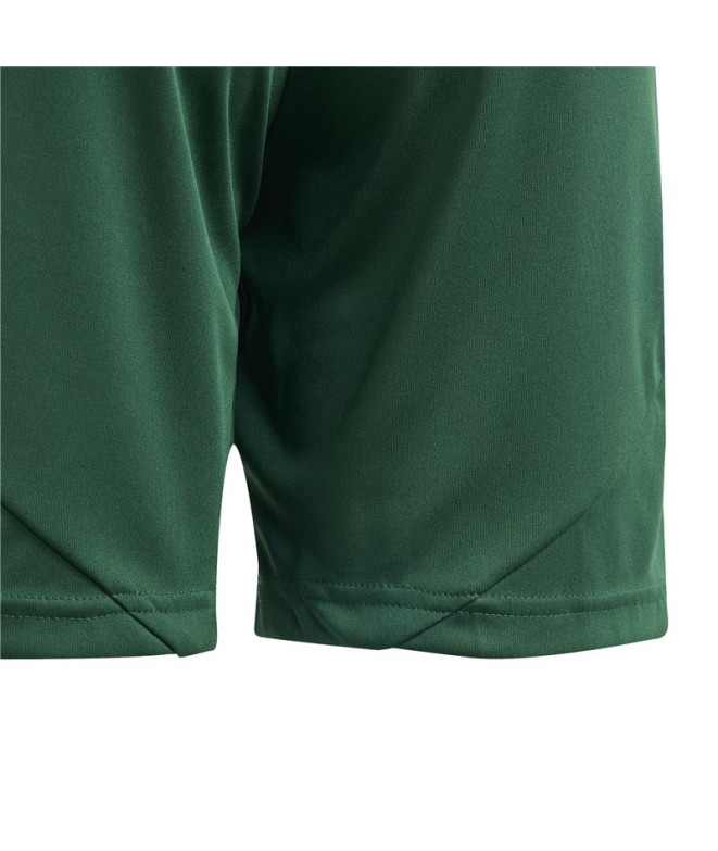 Pantalones de Fútbol adidas Tiro24 Infantil Verde