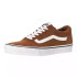 Chaussures Vans Teckel de Ward Homme
