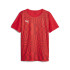 Camiseta de Fútbol Puma Individualrise Graphic Hombre Rojo