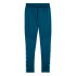 Pantalones de Fútbol Puma individualFINAL Azul Hombre