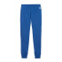 Pantalones de pádel Puma Individual Padel Azul Hombre