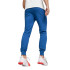 Pantalones de pádel Puma Individual Padel Azul Hombre