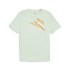 Camiseta Puma Essentials+ AB Summer Verde Hombre