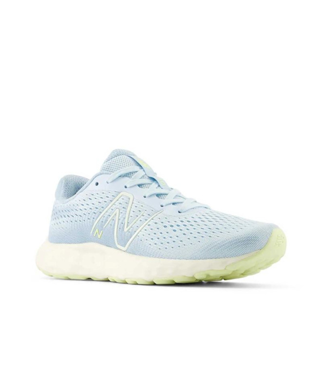 Chaussures de running New Balance 520V8 Femme...